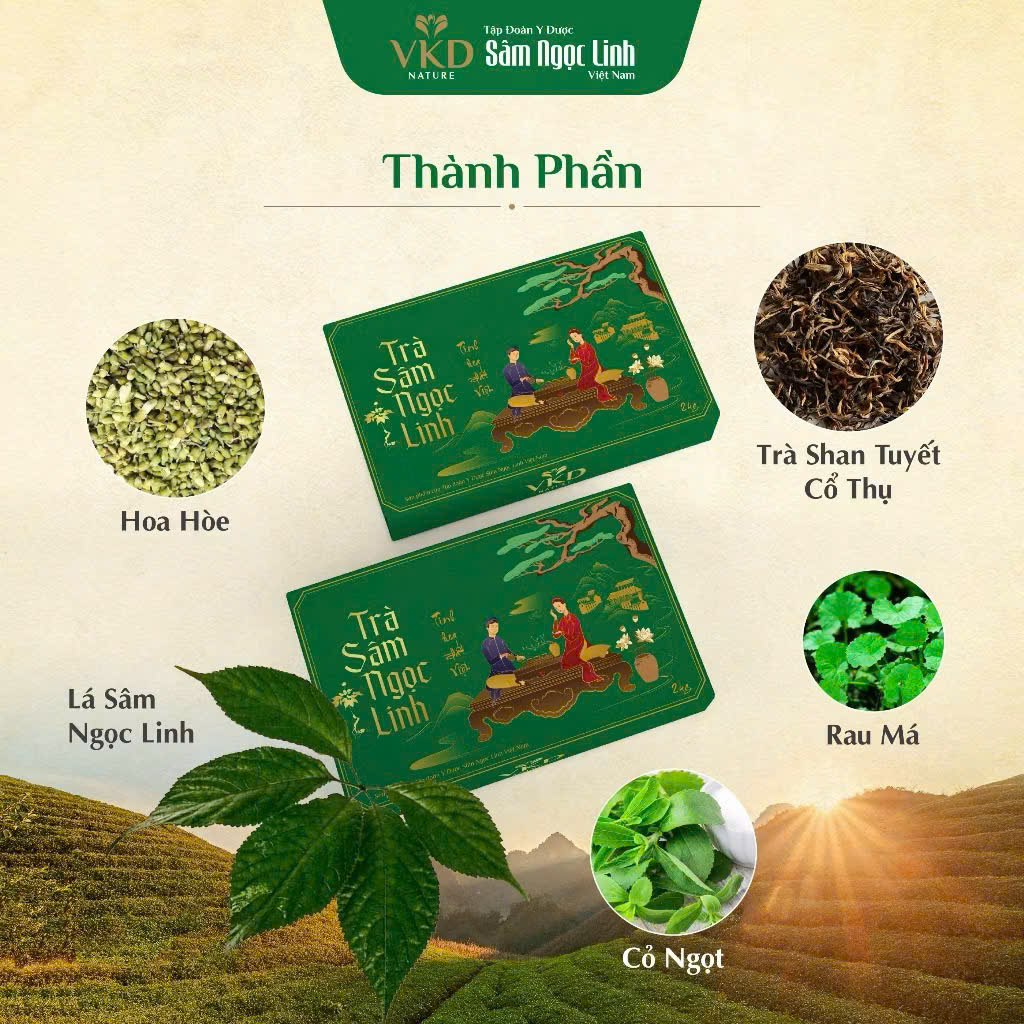 Trà Sâm Ngọc Linh VKD
