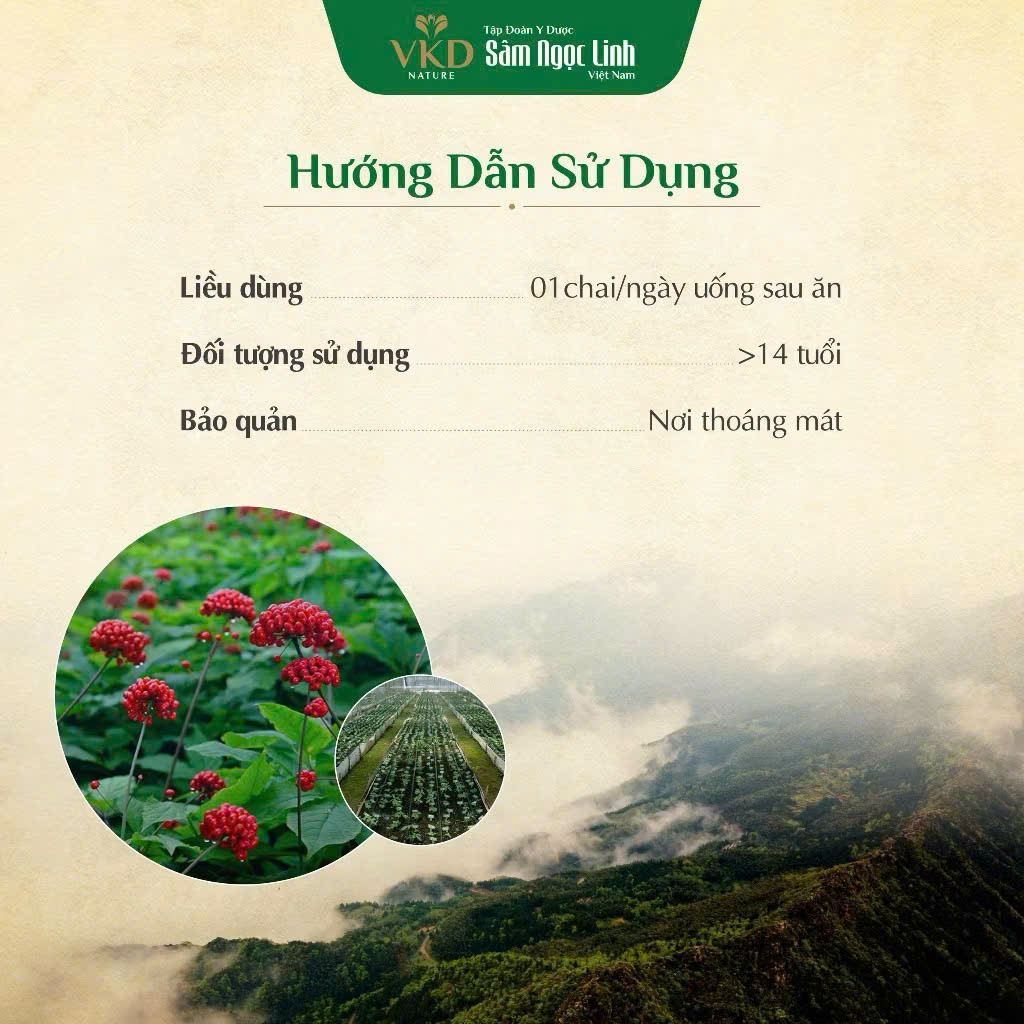 Nước cốt sâm ngọc linh