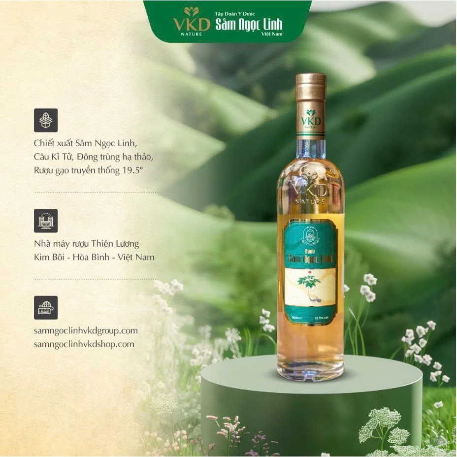 Rượu Sâm Ngọc Linh 19.5 Độ